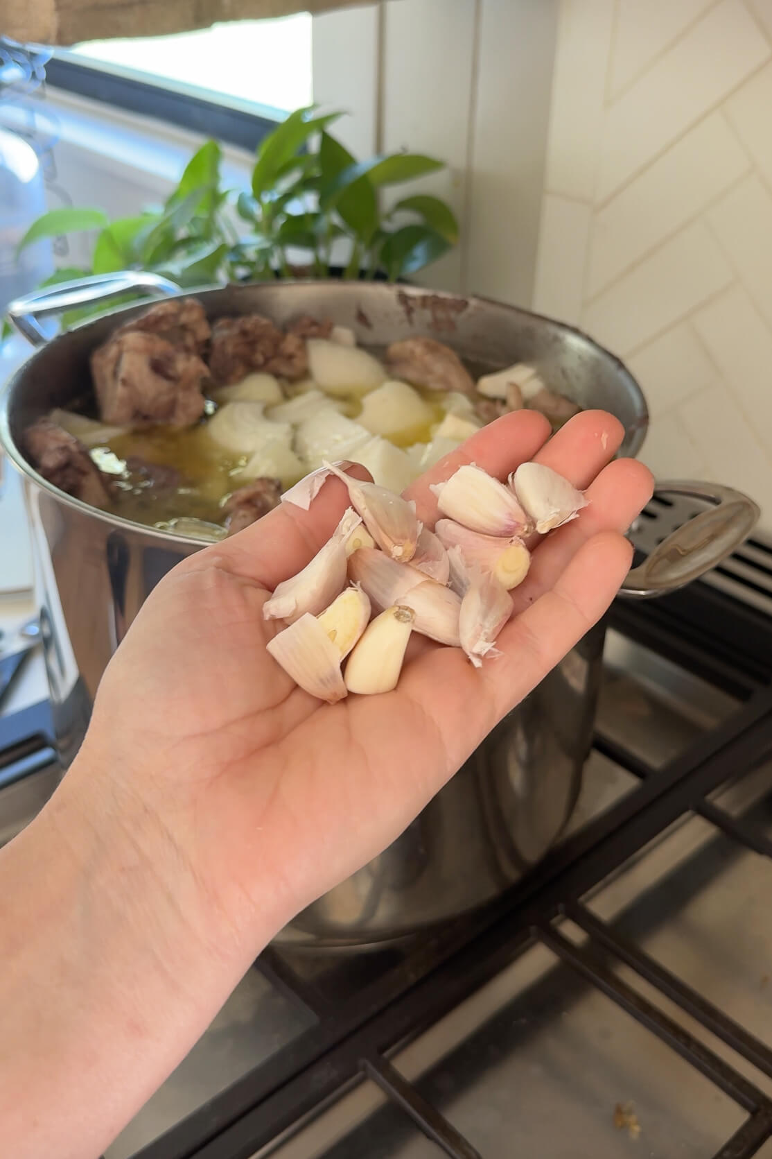 Adding onions and garlic to homemade chicken stock.